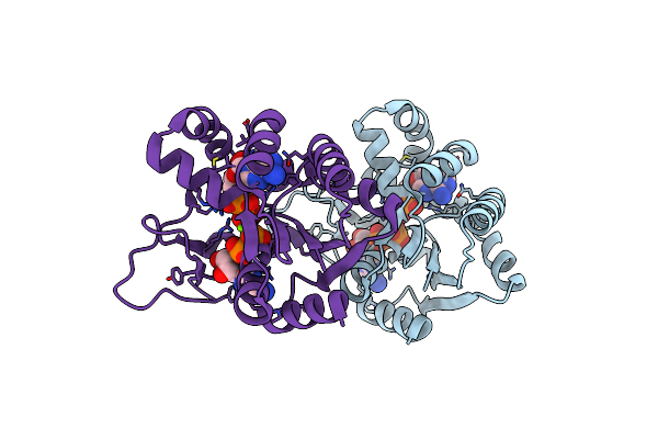 4CF7 image