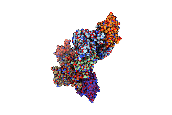 4CFF image