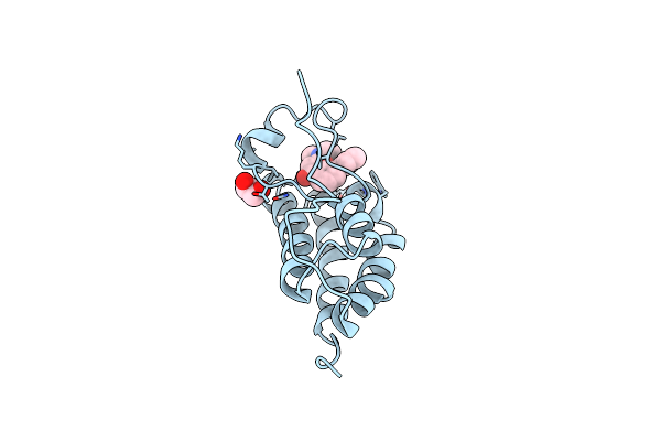 4CFL image