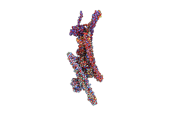 4CG4 image