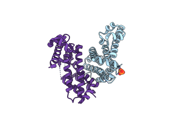 4CGR image