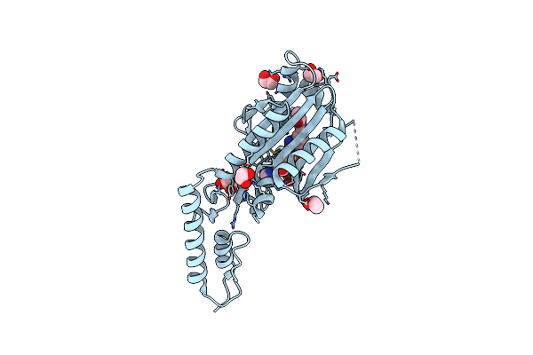 4CH5 image
