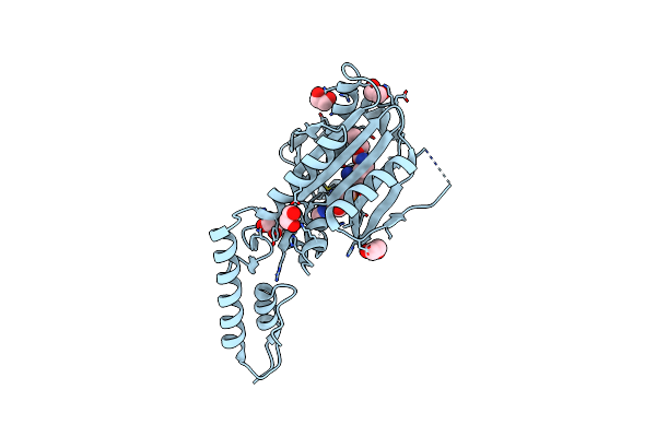 4CH6 image