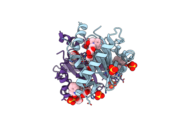 4CHP image