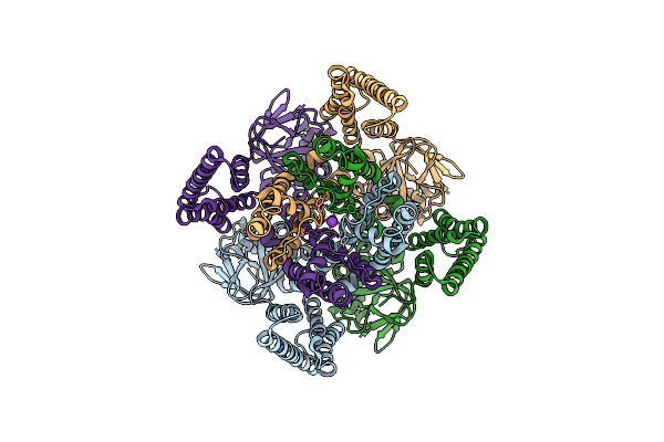 4CHW image