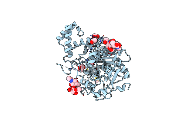 4CI9 image