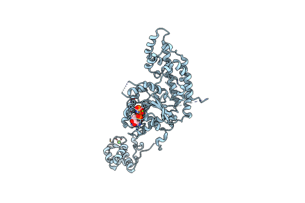 4CID image