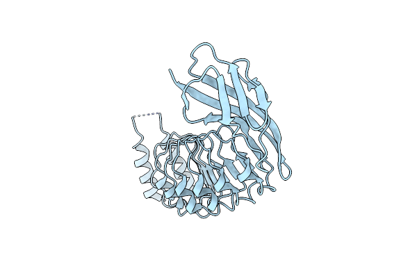 4CIL image