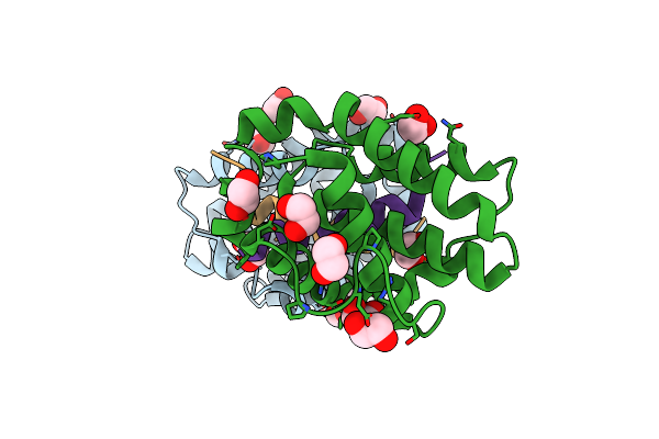 4CIM image