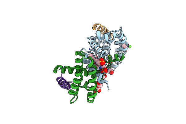 4CIN image