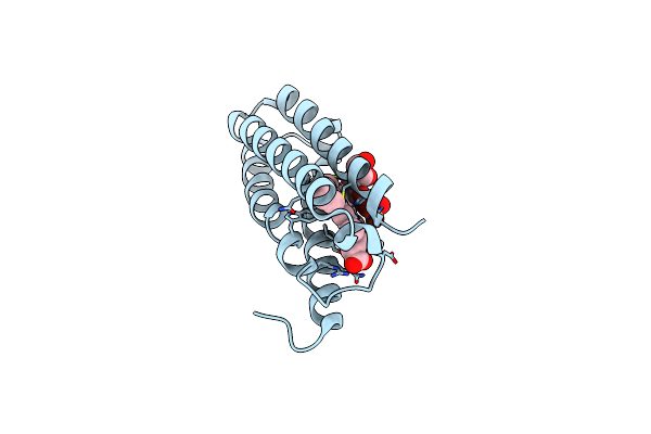 4CIP image