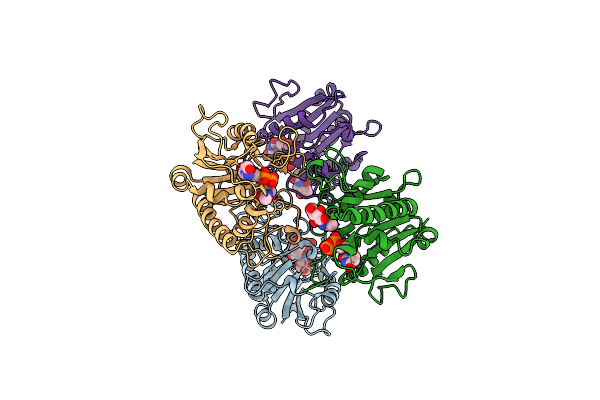 4CJC image