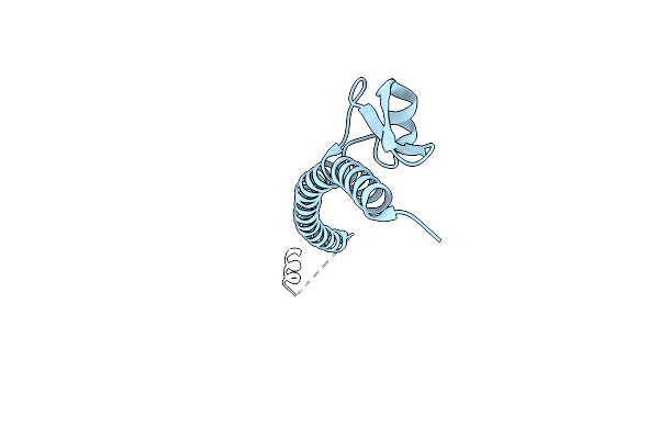 4CJD image