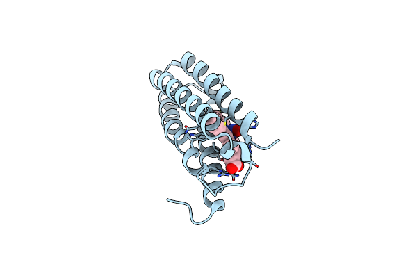 4CJG image