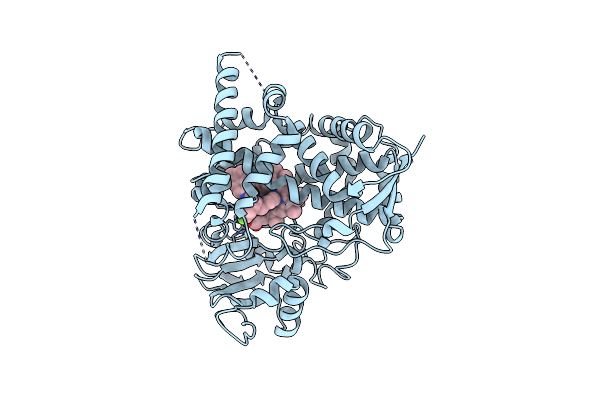 4CKA image
