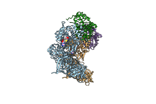 4CKC image