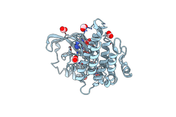 4CKI image