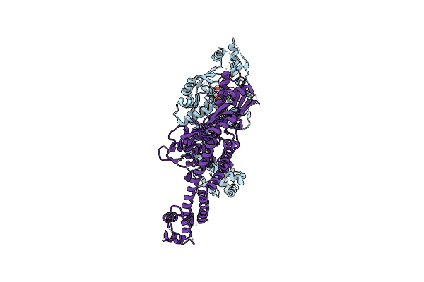 4CKL image