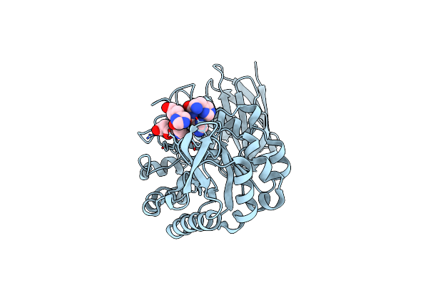 4CKQ image