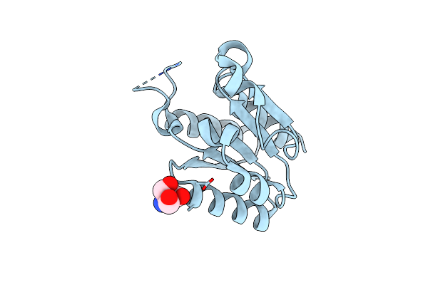 4CKX image