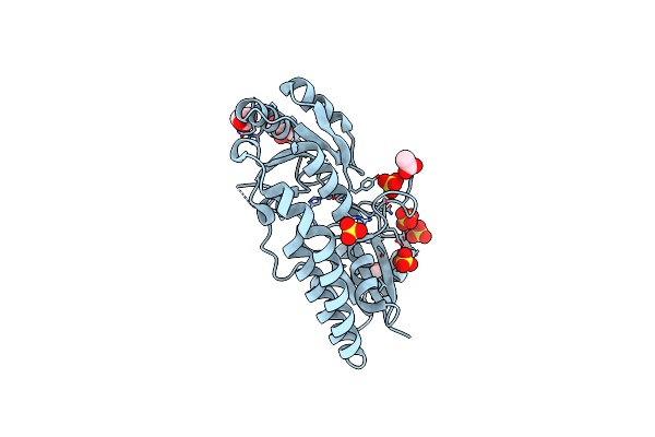 4CL2 image