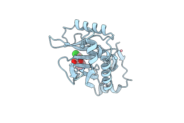 4CLA image