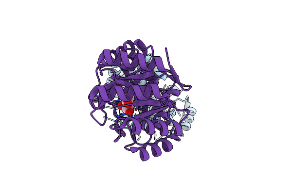 4CLM image