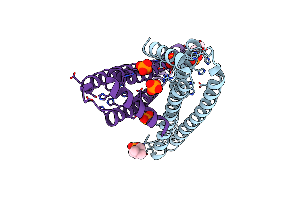 4CLV image