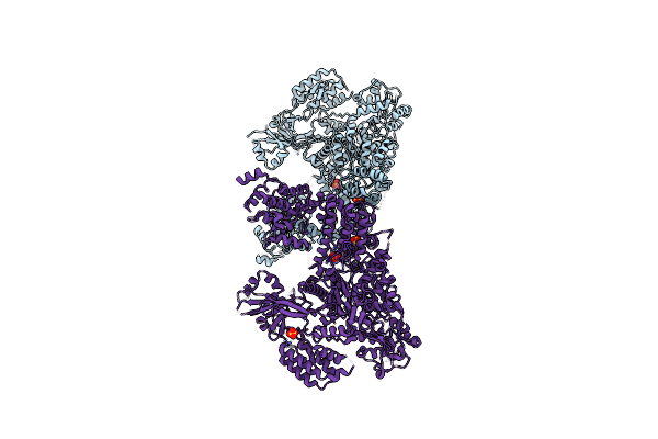 4CMP image