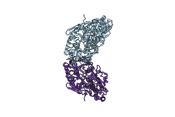 4CMR image