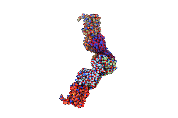 4CNI image