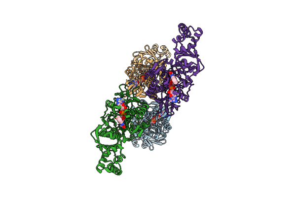 4CNJ image