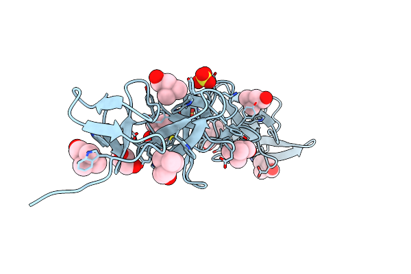 4CNL image