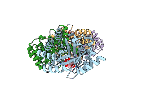 4CNO image