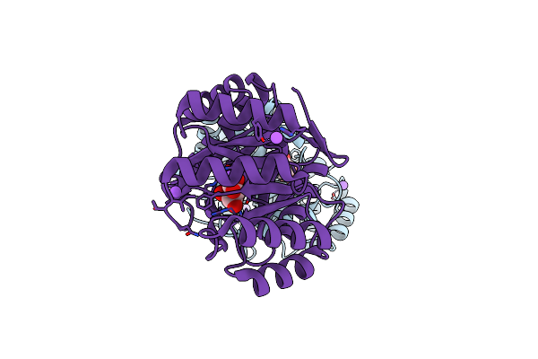 4CNP image