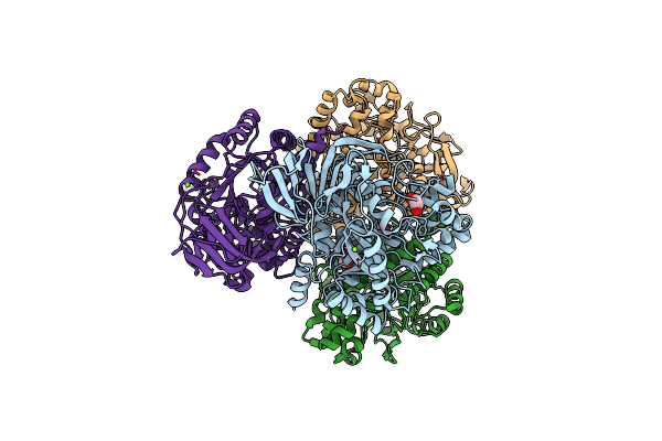 4CNS image