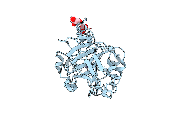 4CNV image