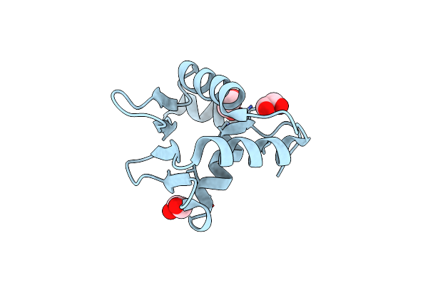 4CO8 image