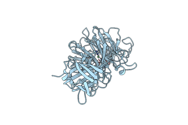 4COT image