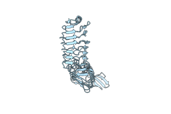 4CP6 image