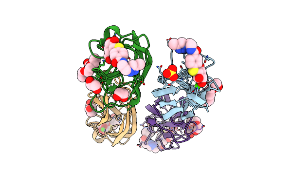 4CP9 image
