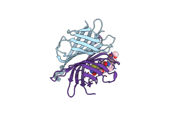 4CPF image