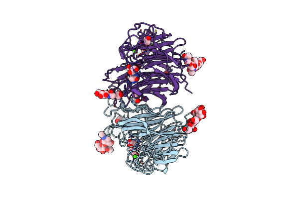 4CPN image