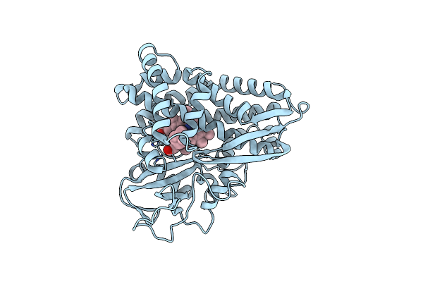 4CPP image