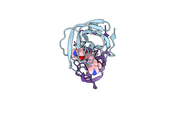 4CPS image