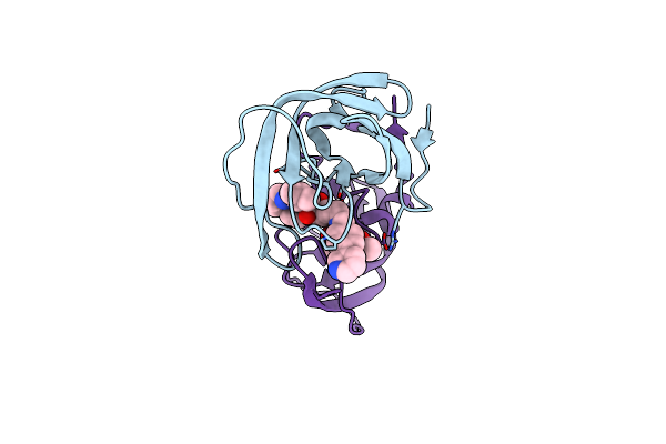 4CPT image