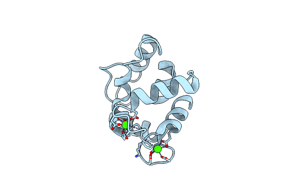 4CPV image