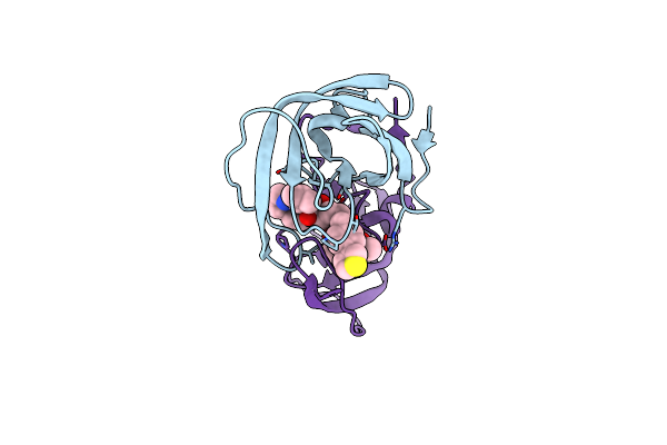 4CPW image