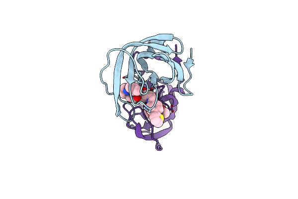 4CPX image