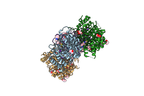 4CQF image